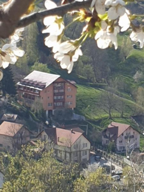 Vila Muntii Bucegi
